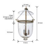 CDNY MED. GRAPES LANTERN: Etched Grapevine Glass Hanging Chandelier with Antique Brass Finish , 9" DIA, H 21" JAR 10.5" - Image 3