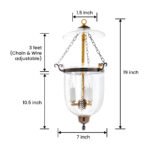 CDNY SM. VERTICAL LEAF LANTERN: Etched Leaf Pattern Glass Hanging Chandelier with Antique Brass Finish, 7"DIA, H19", Jar 10.5" - Image 3