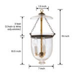 CDNY SM. GRAPES LANTERN: Etched Grapevine Glass Hanging Chandelier with Antique Brass Finish, 7"DIA, H19", Jar 10.5" - Image 3