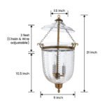CDNY MEDIUM VERTICAL LEAF LANTERN: Etched Leaf Pattern Glass Hanging Chandelier with Antique Brass Finish, 9" DIA, H 21" JAR 10.5" - Image 3
