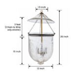 CDNY LG. FLORAL CUT LANTERN: Etched Glass Hanging Chandelier with Brass Finish, H 26", 12" DIA, 15" JAR - Image 3