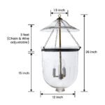 CDNY LARGE GRAPES LANTERN: Etched Glass Hanging Chandelier with Antique Brass Finish, H 26", 12" DIA, 15" JAR - Image 3