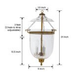 CDNY MED. PALM TREE LANTERN: Tropical Etched Glass Hanging Chandelier with Antique Brass Finish, 9" DIA, H 21" JAR 10.5" - Image 3