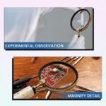 Unique Faux Bone Handle Magnifying Glass - CDNY - Image 6