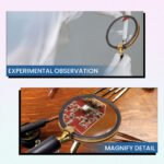 Classic Handheld Magnifying Glass with Wooden Handle - CDNY - Image 6